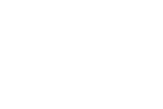 Burleigh Fencing